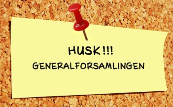 Husk Generalforsamlingen21